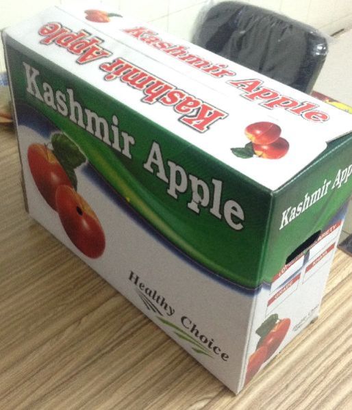 Printed Corrugated Box 03