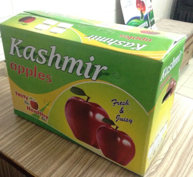 Printed Corrugated Box 01