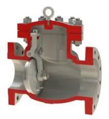Swing Check Valve 01