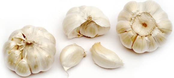 Fresh Garlic 01