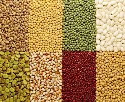 Indian Pulses 03