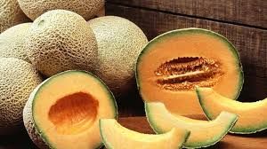Fresh Muskmelon  01