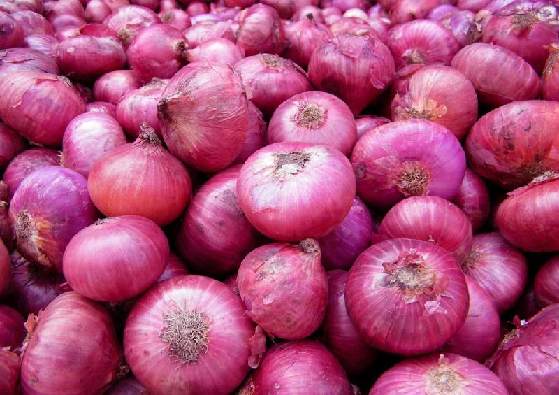 Fresh Red Onion  01
