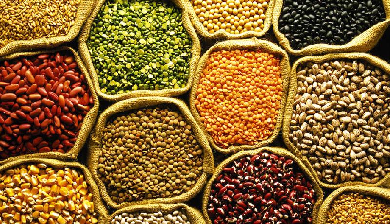 Indian Pulses 01