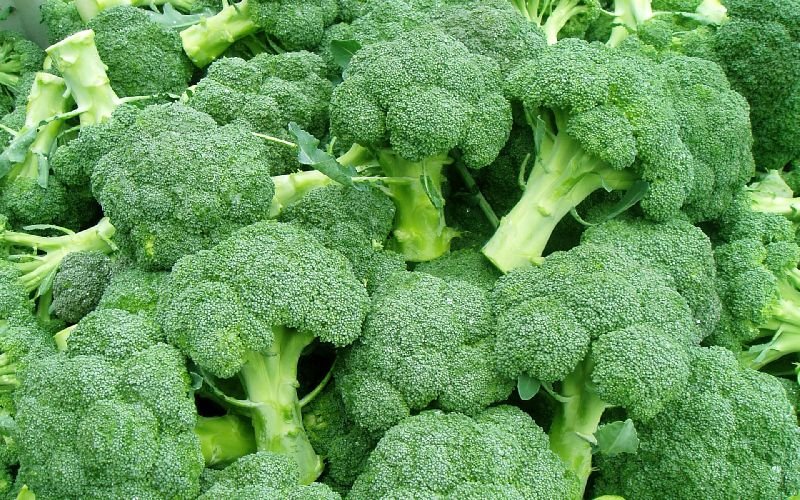 Fresh Broccoli 01