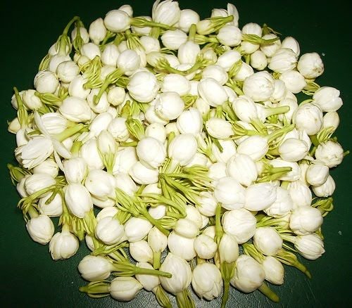 Fresh Jasmine Flower 01