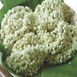 Fresh Jasmine Flower 02