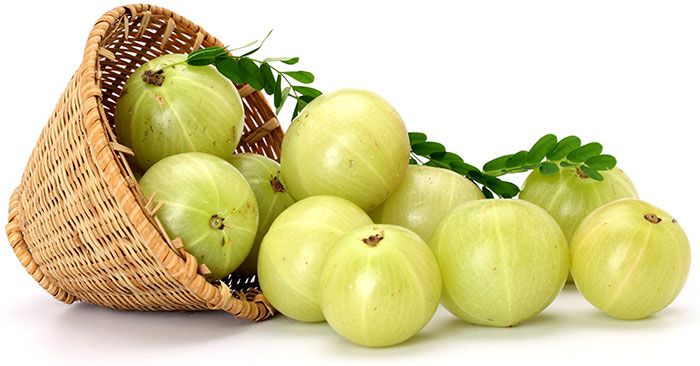 Fresh Amla 05