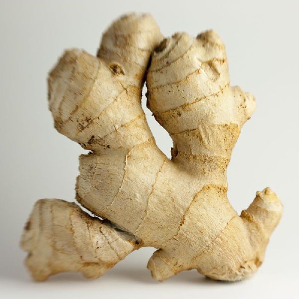 Fresh Ginger 04
