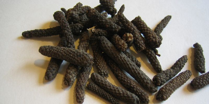 Long Pepper 02