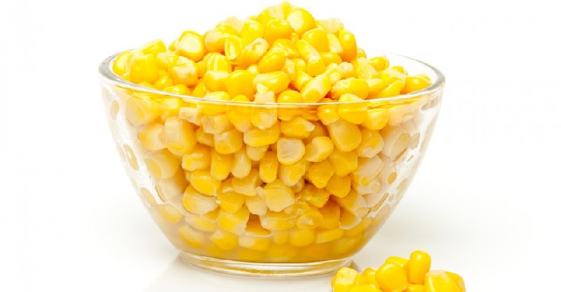 Sweet Corn 08