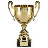 Brass Trophy 01