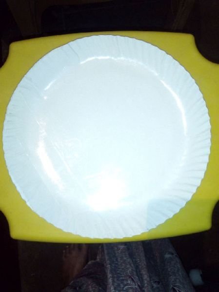 Plain Paper Plate 02