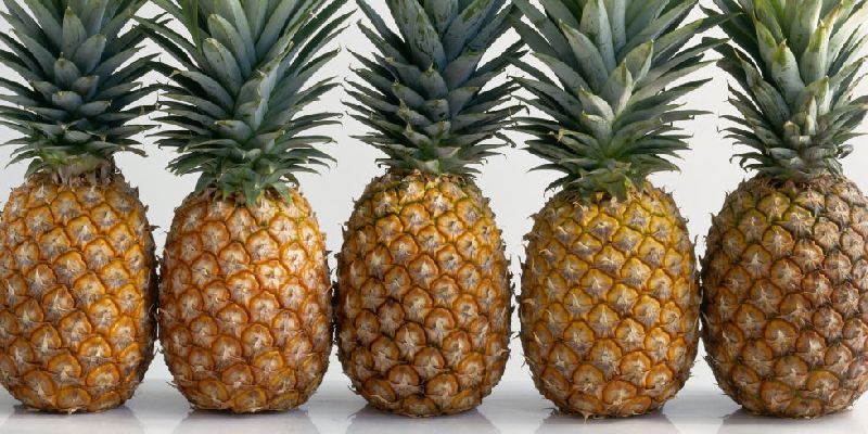 Fresh Pineapple 01