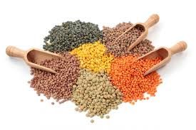 Indian Pulses 02