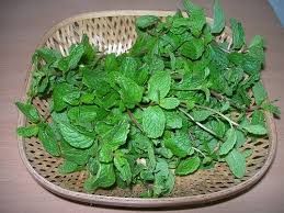 Fresh Mint Leaves 02