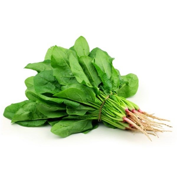 Fresh Spinach Leaves 01