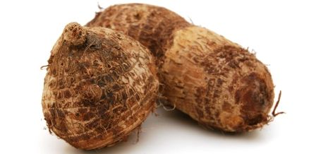 Fresh Taro Root 01