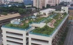 Roof Garden Waterproofing Services 02