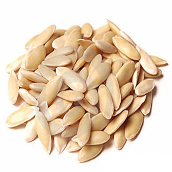 Muskmelon Seeds 01