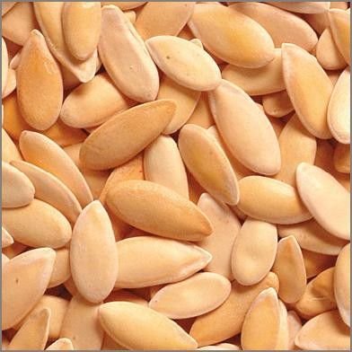 Muskmelon Seeds 02