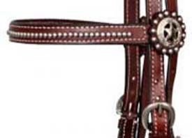 AI-EB-001 Horse Western Bridles