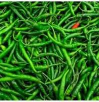 Fresh Green Chilli 01