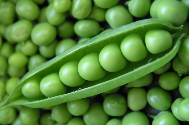 Fresh Green Peas 01