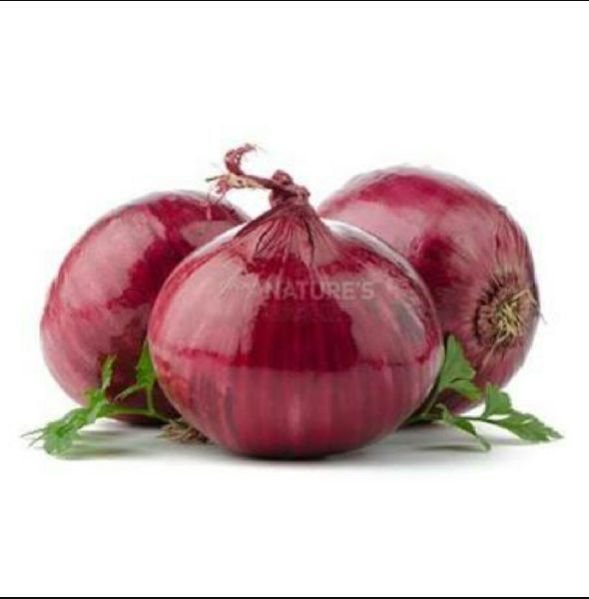 Fresh Red Onion  01