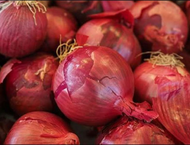 Fresh Red Onion  02