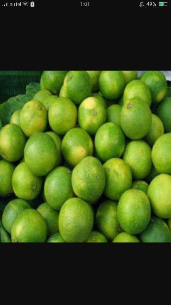 Fresh Sweet Lime  02