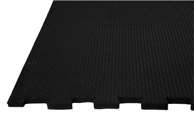 Interlocking Mat 01