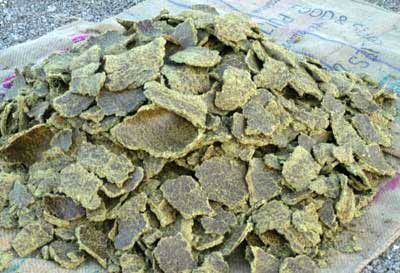 Cottonseed Oil Cake 03