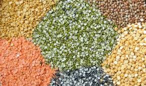 Indian Pulses 01