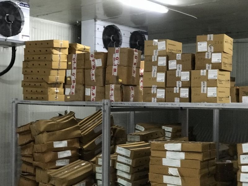 Frozen Chamber Rental Services 02