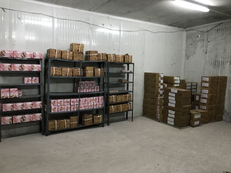 Frozen Chamber Rental Services 05