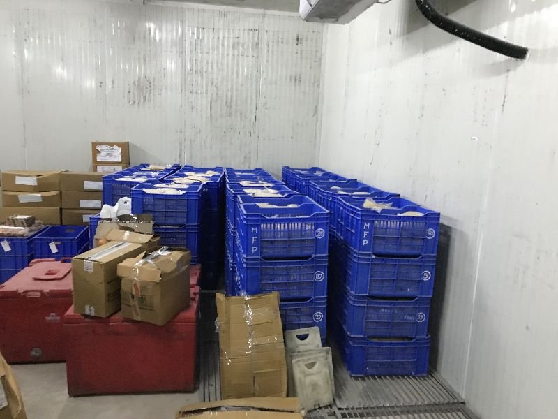 Frozen Chamber Rental Services 06