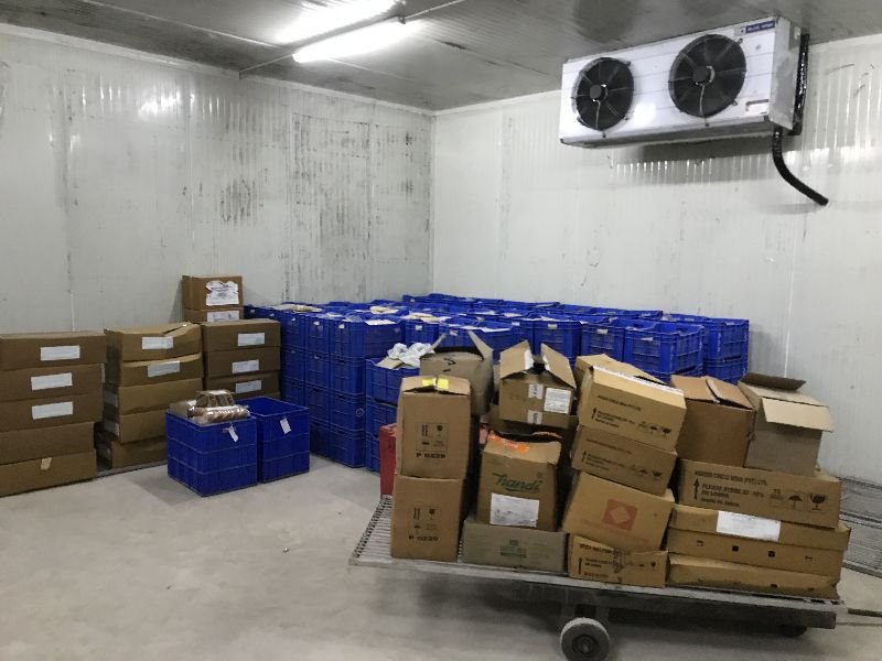 Frozen Chamber Rental Services 07