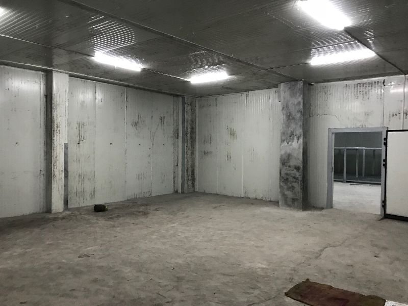 Frozen Chamber Rental Services 12