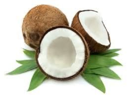 Coconut 01