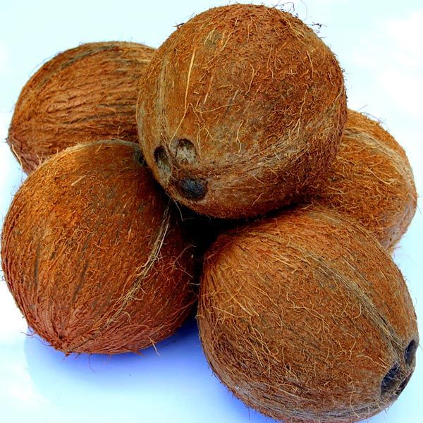Fully Husked Coconut 01