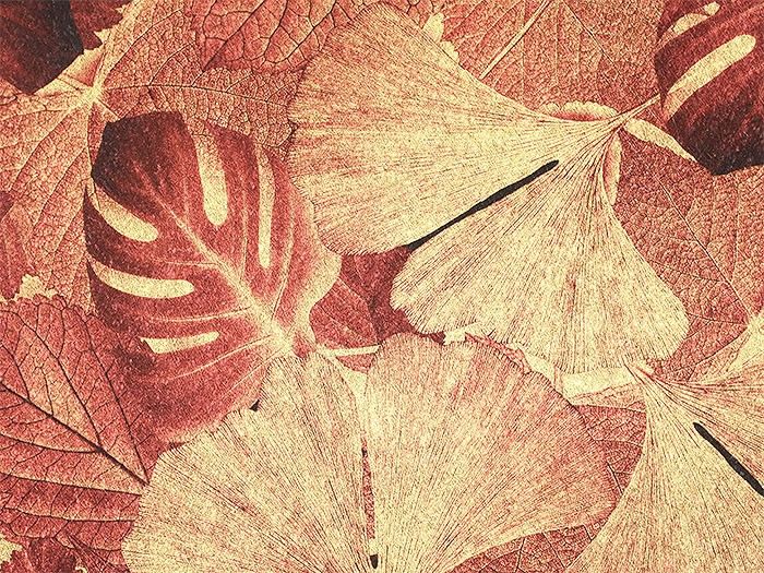 Banana Paper Leave 01