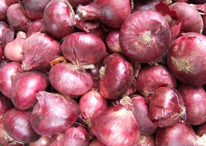 Fresh Red Onion 02