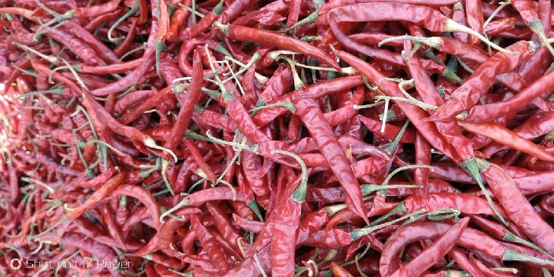 Red Chillie 02