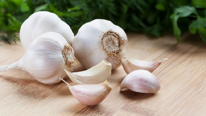 Fresh Garlic 02