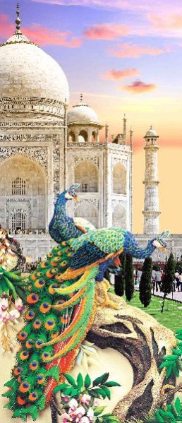 FT-CS02 Printed Curtain