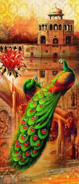 FT-CS05 Printed Curtain