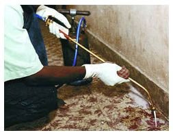 Post Construction  Anti Termite Treatment 02