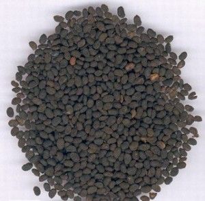 Psoralea Corylifolia Seeds