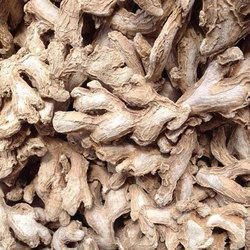 Dried Ginger 01